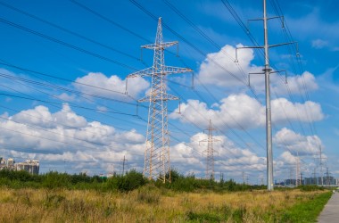 Экспериментальные устройства для защиты ЛЭП от птиц начали устанавливать в Могилевской области