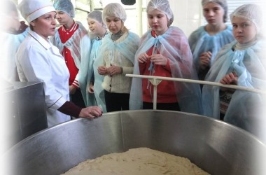 Могилевские заводы возобновили производственные экскурсии для детей и взрослых