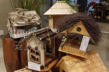 Парк в Подниколье проводит конкурс на лучшую кормушку для птиц