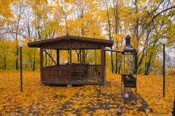 Погода в Могилевской области в эти выходные зовет на природу