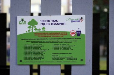 Штраф за выброс крупногабаритного мусора в неположенном месте составляет до 30 базовых величин