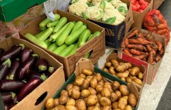 Свежую продукцию по низким ценам можно приобрести на ярмарке в выходные