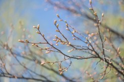 Что изменится в Беларуси в апреле