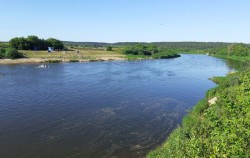 Купание в Днепре у Полыковичей запрещено из-за превышения кишечной палочки