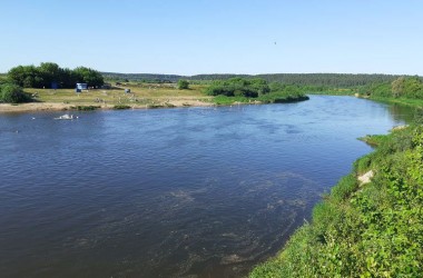 Купание в Днепре у Полыковичей запрещено из-за превышения кишечной палочки