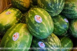 Ярмарка астраханских товаров работает в Могилеве