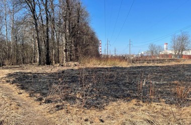 МЧС напоминает об опасности сжигания сухой растительности