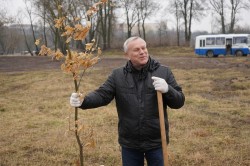 35 дубов высадили в Подниколье во время городского субботника