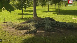 Ящерица Николь «поселилась» в могилевском парке в Подниколье (Видео)