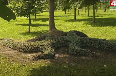 Ящерица Николь «поселилась» в могилевском парке в Подниколье (Видео)