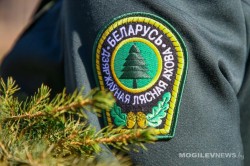 На усиленный режим работы перейдет лесная охрана с 20 декабря
