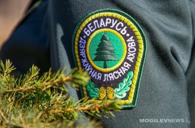 На усиленный режим работы перейдет лесная охрана с 20 декабря