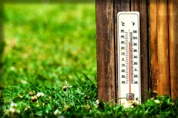Минздрав дал рекомендации, как избежать последствий жары