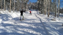 Открыт ли лыжный сезон в Могилеве?