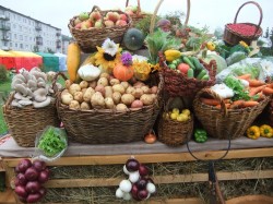 Сельхозярмарки начнутся в Могилеве в эти выходные