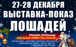 Выставка породистых лошадей с новогодней программой пройдет в конном манеже