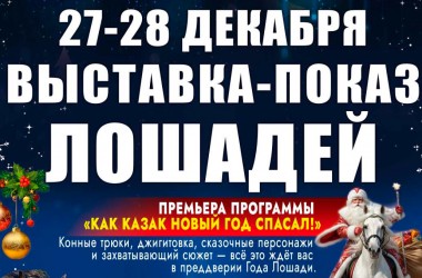 Выставка породистых лошадей с новогодней программой пройдет в конном манеже
