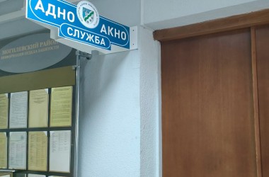 Лидирующую позицию по числу обращений в службу «Одно окно» занимает регистрация домашних питомцев