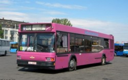 С 18 мая в Могилеве временно изменится движение автобусного маршрута № 10