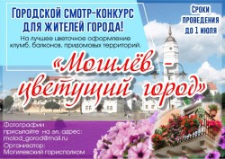В Могилеве продолжается конкурс на лучшее цветочное оформление
