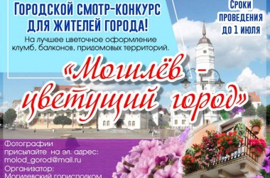 В Могилеве продолжается конкурс на лучшее цветочное оформление