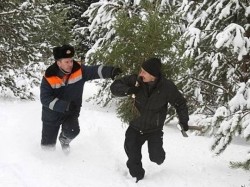 Гослесохрана переходит на усиленный вариант несения службы с 18 декабря