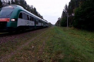 Из-за ремонтных работ в октябре изменится график движения поездов Могилев — Гомель