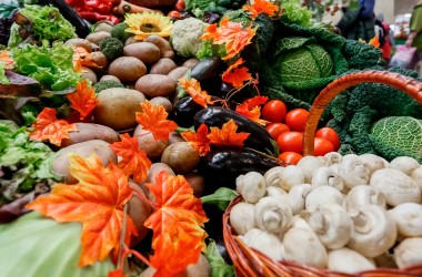 Сельхозярмарки пройдут в Могилеве 25 и 26 октября