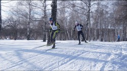 Лыжную трассу оборудовали в парке Подниколье