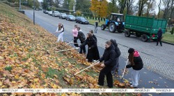 На субботнике в Могилеве высадили молодые клены и прибрали дворы