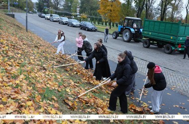 На субботнике в Могилеве высадили молодые клены и прибрали дворы