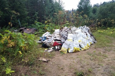 57 несанкционированных свалок ликвидировано в августе на территории Могилевщины