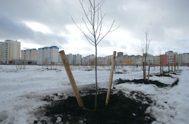 Новая зеленая зона появится в микрорайоне Спутник