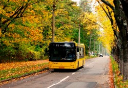 Работа пригородных автобусов изменится на время ноябрьских выходных