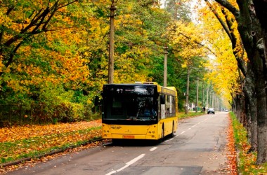 Работа пригородных автобусов изменится на время ноябрьских выходных