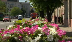 Могилев украсят более миллиона однолетних цветов (Видео)