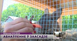 В Могилевском зоосаде появился контактный зоопарк (Видео)