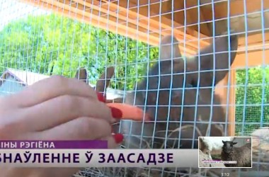 В Могилевском зоосаде появился контактный зоопарк (Видео)