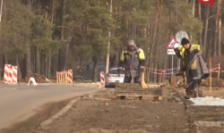 Закольцованная велодорожка протяженностью почти 20 километров появится в Могилеве