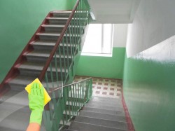 Периодичность уборки подъездов установило ЖКХ