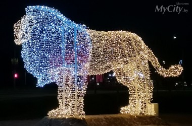 В Могилеве «поселился» еще один лев