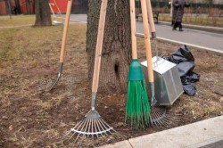 С 16 марта в Могилеве начнется весенняя уборка