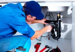 Безработных в Могилеве приглашают на бесплатное обучение с гарантией трудоустройства