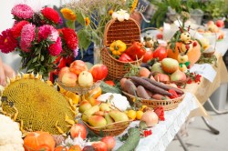 Сельхозярмарки пройдут в выходные в Могилеве