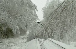 Более 500 упавших деревьев убрали с ж/д путей в Могилевской области