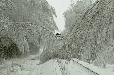 Более 500 упавших деревьев убрали с ж/д путей в Могилевской области