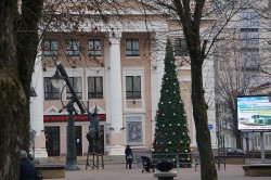 Новогодние елки устанавливают на площадях города