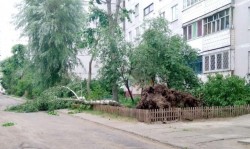 Ураганный ветер и ливень прошлись по Могилеву (Фото)