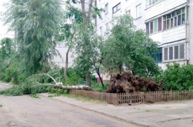 Ураганный ветер и ливень прошлись по Могилеву (Фото)