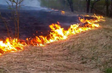Минприроды предупреждает, что за выжигание сухой травы предусмотрен внушительный штраф